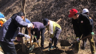 제63회 식목일나무심기행사(우포늪탐방로2008.3.21) 대표이미지