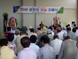 창녕농협 공판장 개관식 및 2009년산 마늘경매 초매식 대표이미지