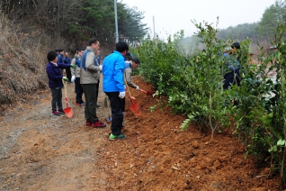 제70회 식목일 기념 나무심기 대표이미지